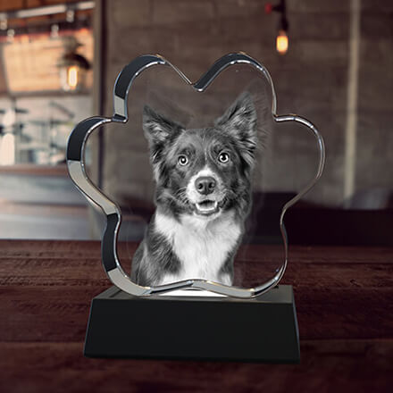 A Pet Paw shaped 2D photo crystal with a LED light base.